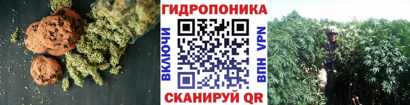 Купить  Каргополь  Печенье с ТГК конопля 