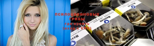 меф VHQ Гусев