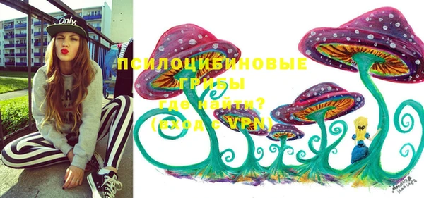 ПСИЛОЦИБИНОВЫЕ ГРИБЫ Дмитров