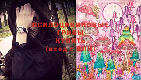 ПСИЛОЦИБИНОВЫЕ ГРИБЫ Дмитров