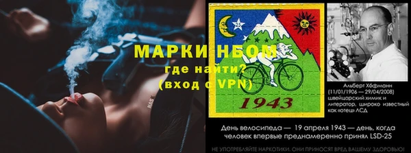 сатива Дмитровск